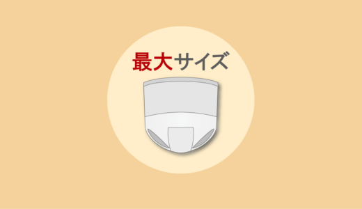 大きいサイズ（L以上）の大人用パンツ型紙おむつ6社を比較（店頭用）｜サイズ・吸収回数【2026年版】
