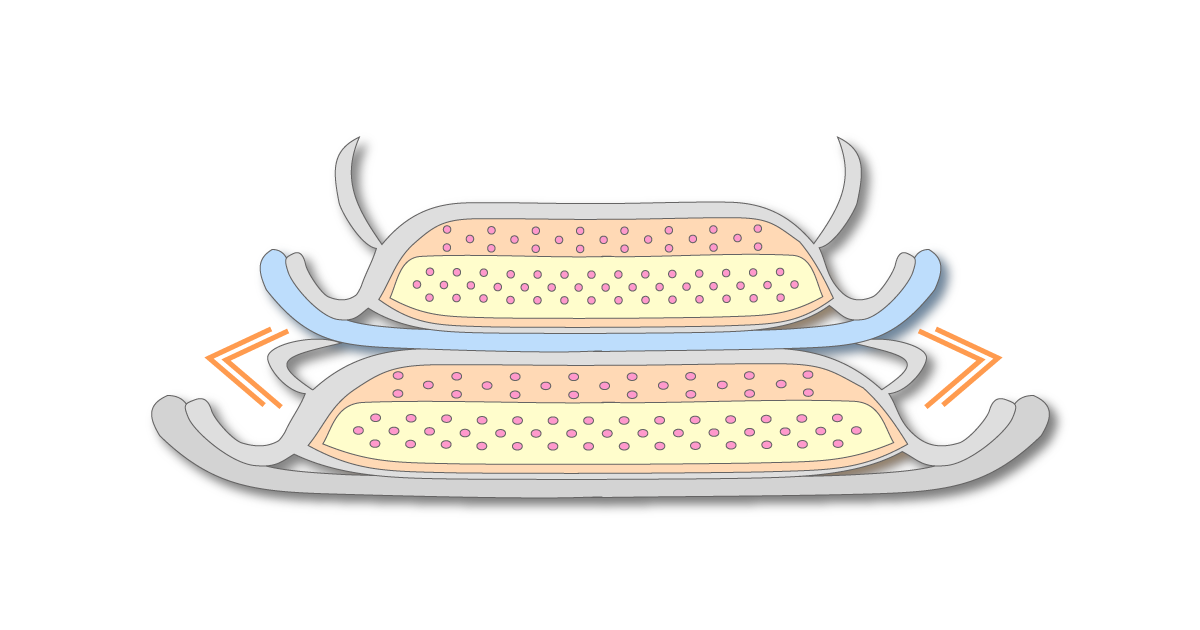 パッドを重ねて立体ギャザーが倒れた状態の図